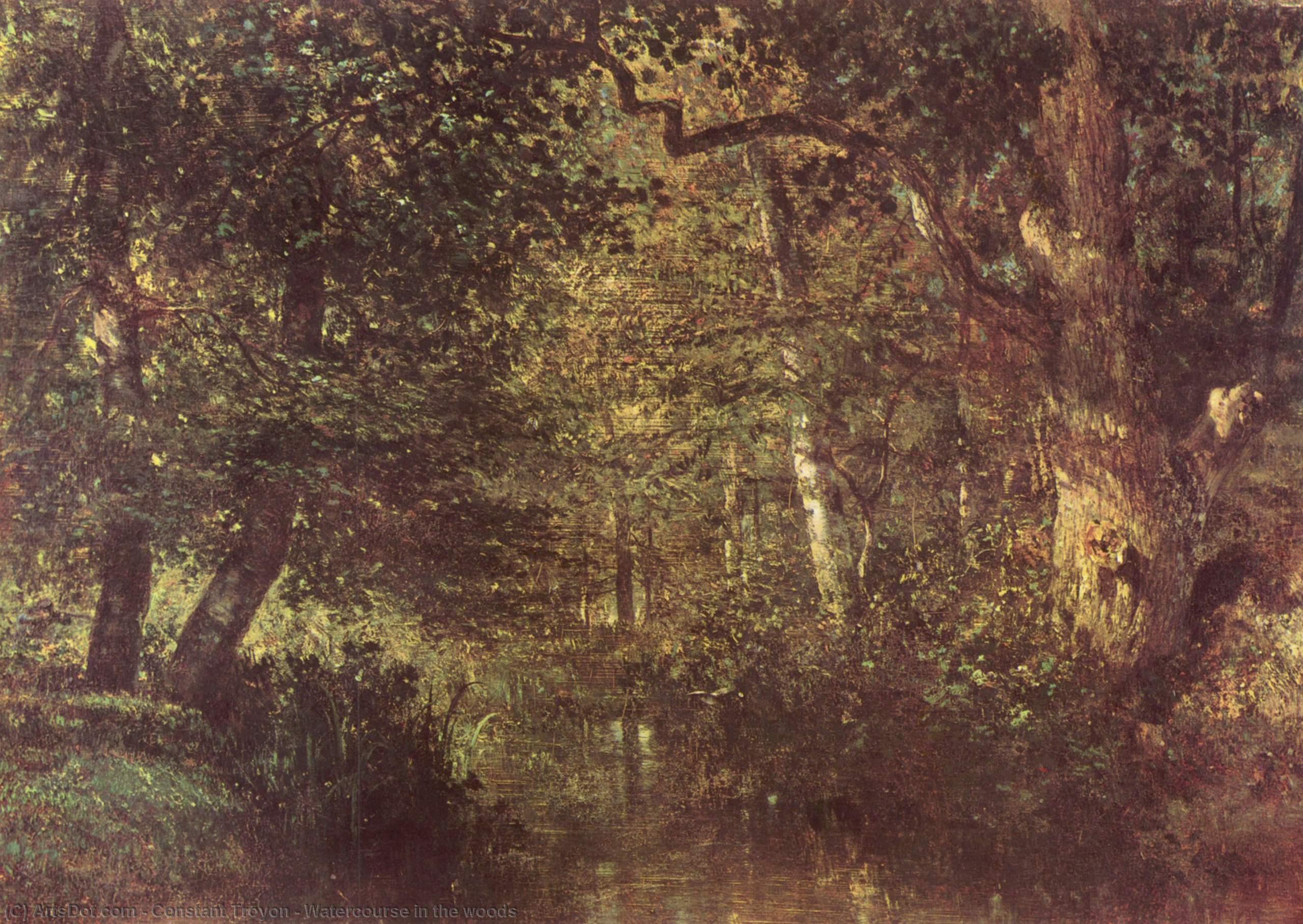 Watercourse In The Woods — コンスタン・トロワヨン