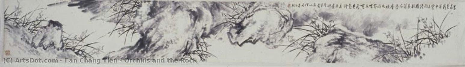 Orchids And The Rock — Fan Chang Tien