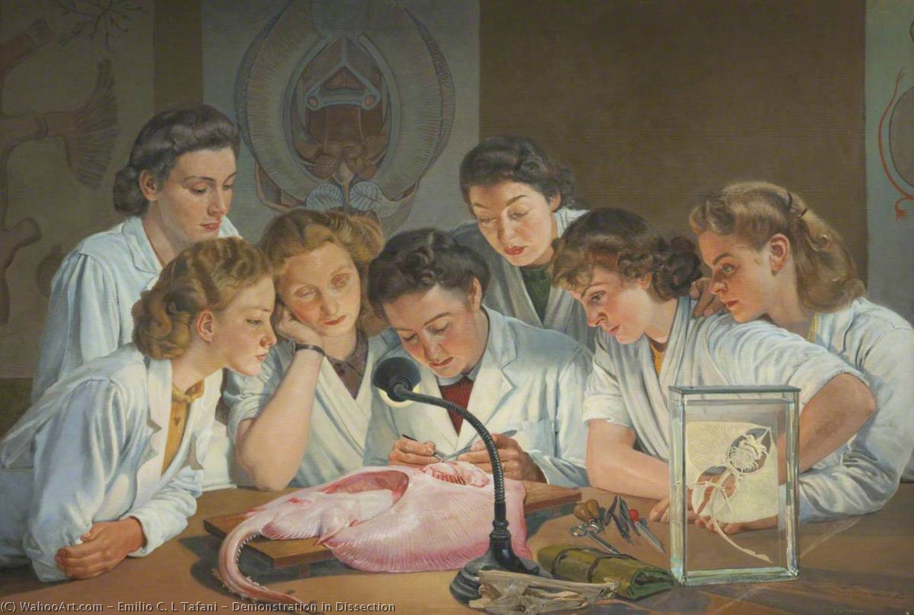 Demonstration In Dissection — Emilio C. L Tafani