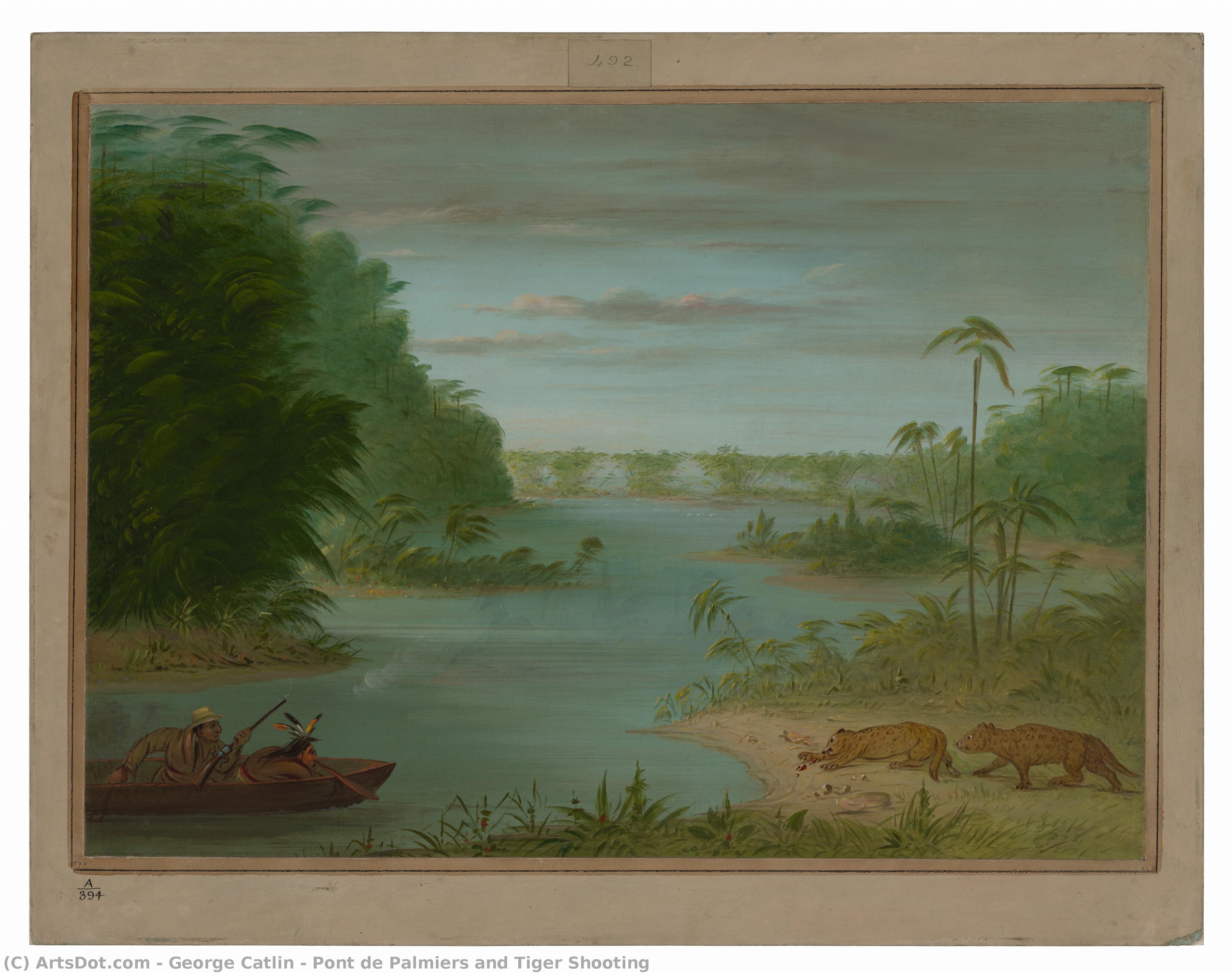 Pont De Palmiers And Tiger Shooting — George Catlin