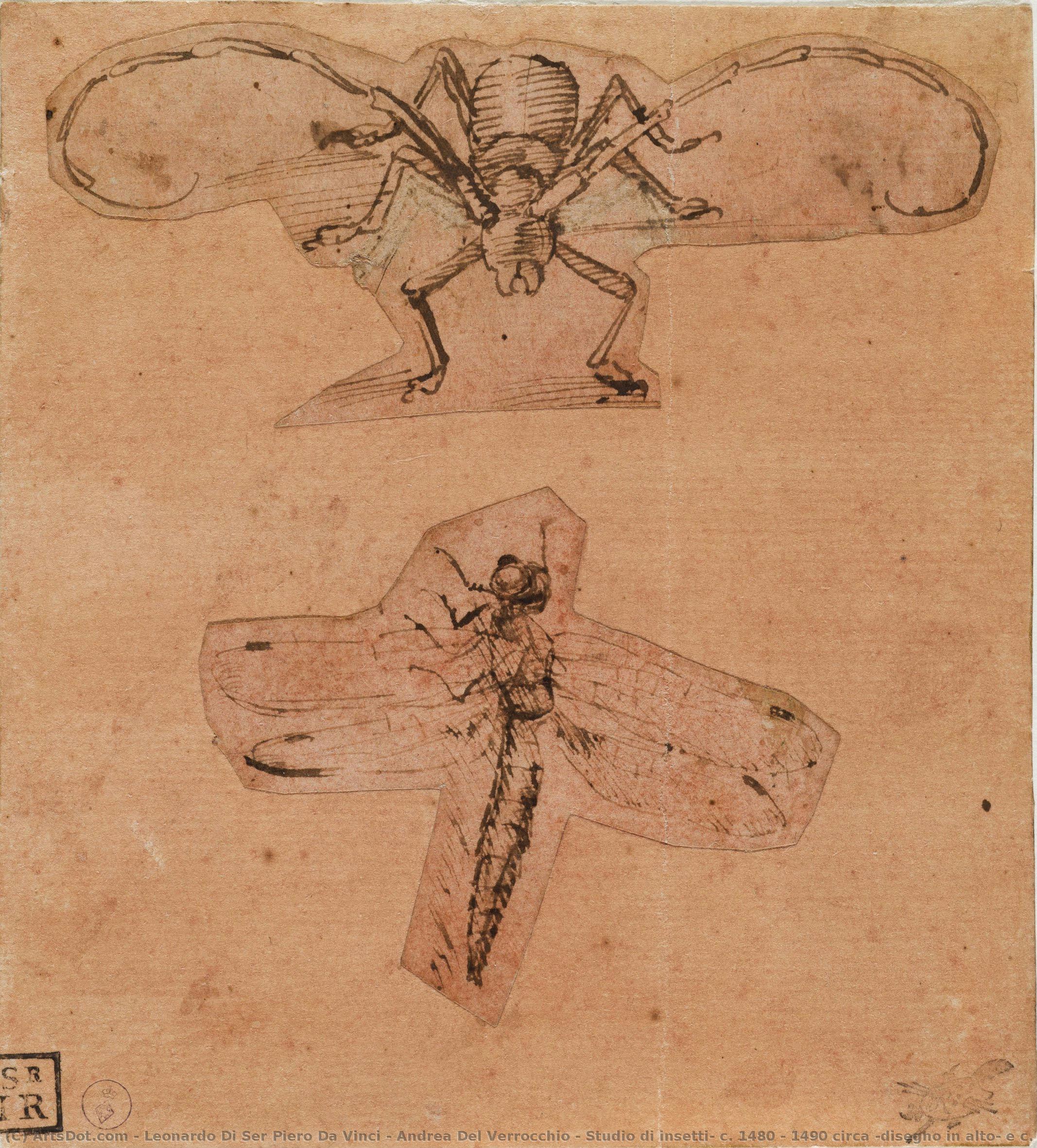 Studio Di Insetti, C. 1480 - 1490 Circa (disegno In Alto) E C. 1503-1505 (disegno In Basso) (penna E Inchiostro Su Carta Preparata Di Rosso (ematite), Disegni Ritagliati E Incollati) — Leonardo Di Ser Piero Da Vinci & Andrea Del Verrocchio