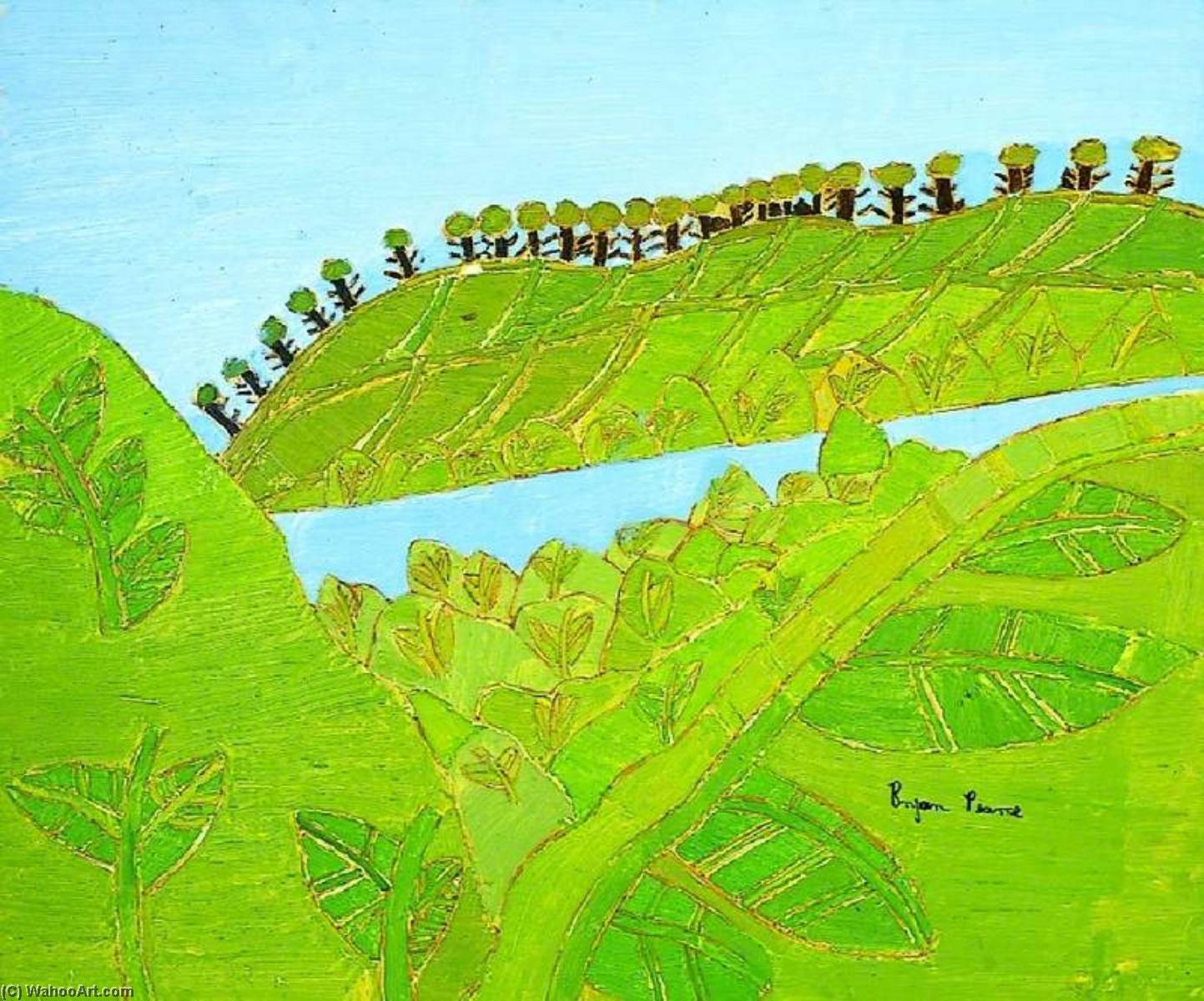 Trebah Gardens From The Terrace — Bryan Pearce