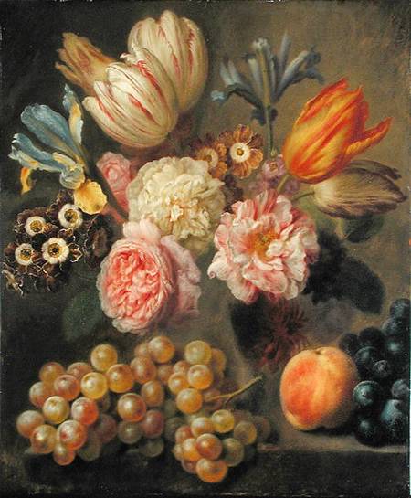 Flower Study — Balthasar Denner