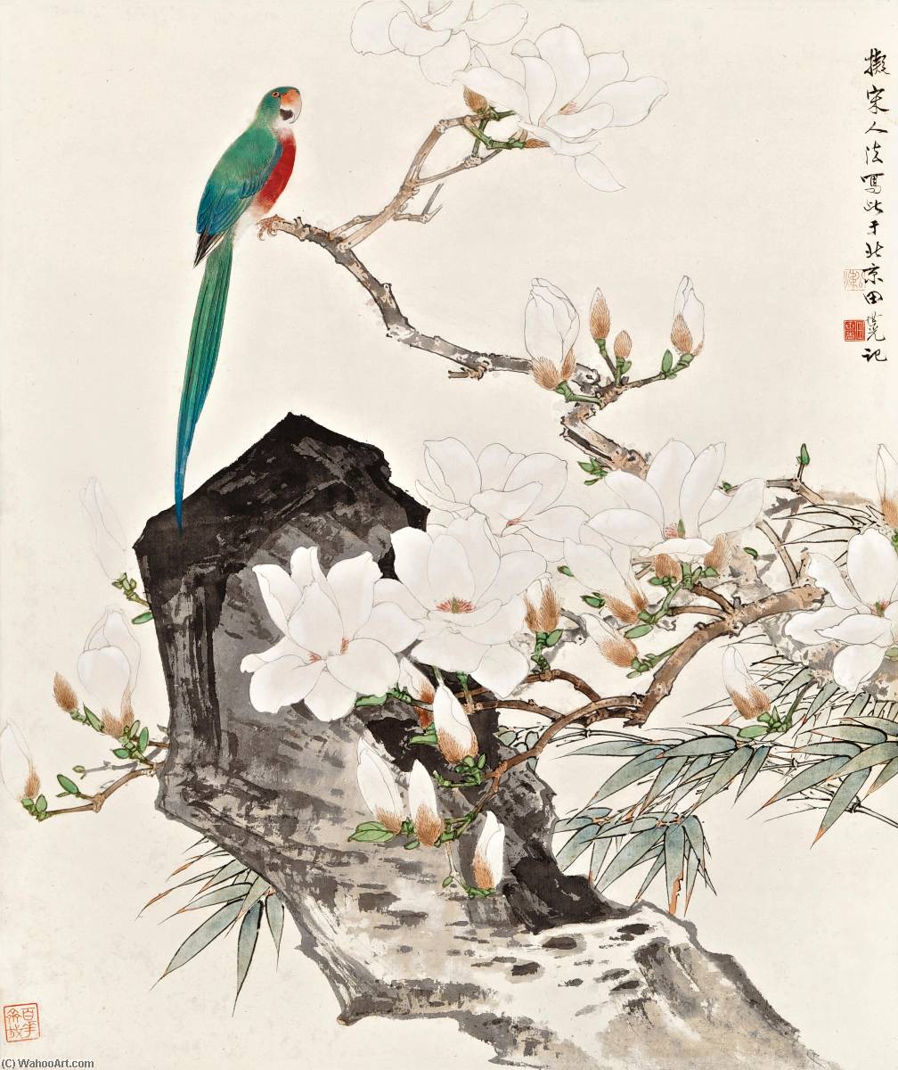 Magnolia And Parrot — Tian Shiguang