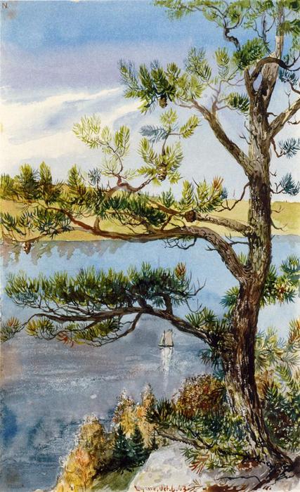 Tree And Sailboat, Lyme, Connecticut — Charles De Wolf Brownell