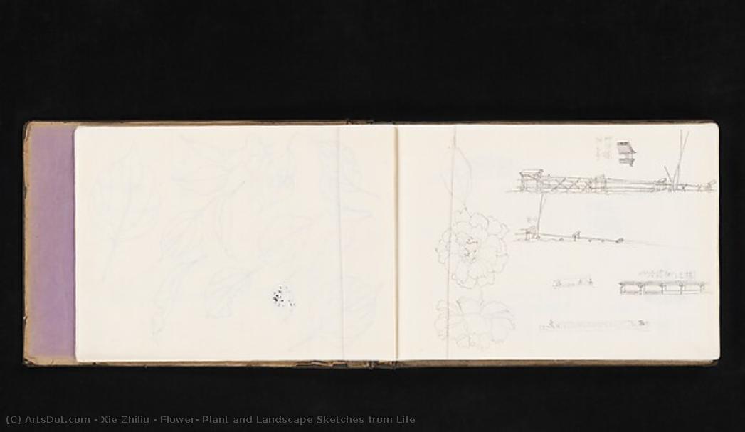 Flower, Plant And Landscape Sketches From Life — Xie Zhiliu