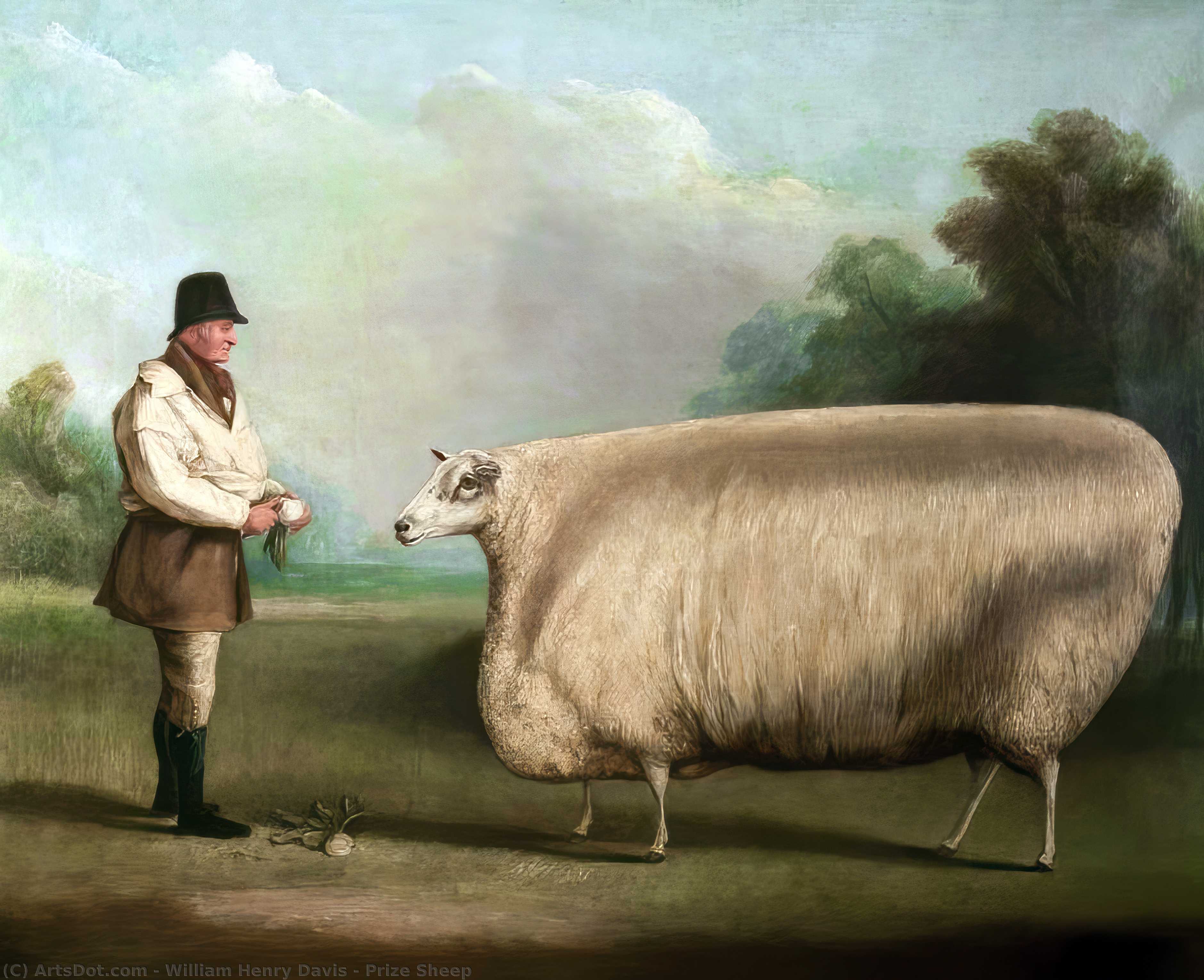 Prize Sheep — William Henry Davis