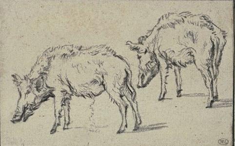 Deux Cochons Tournés Vers La Gauche — Paulus Pietersz Potter