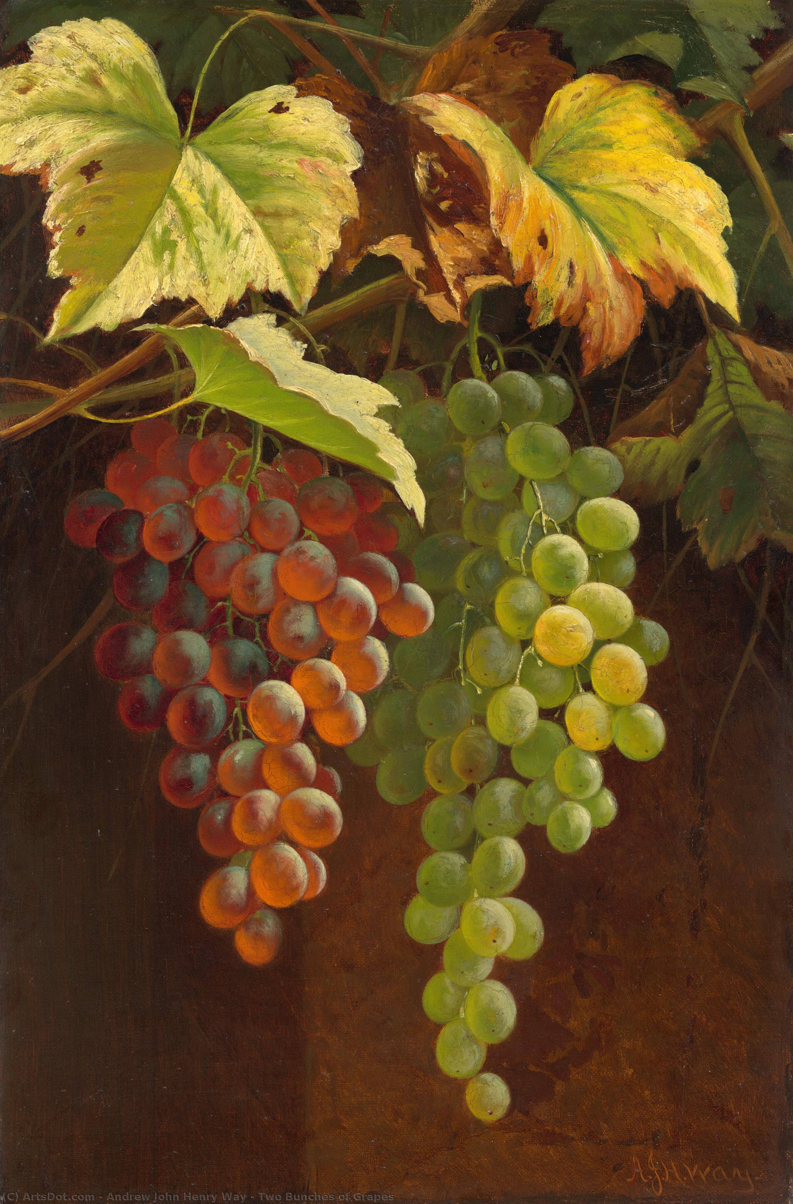 Two Bunches Of Grapes — Andrew John Henry Way