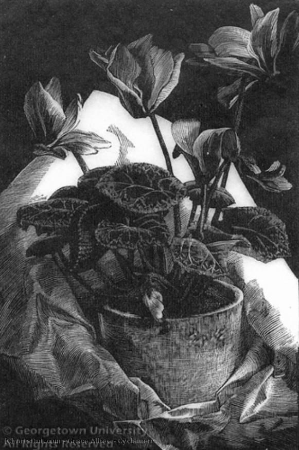 Cyclamen — Grace Albee