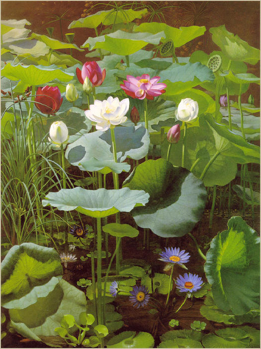 Lily Pond — Otto Didrik Ottesen