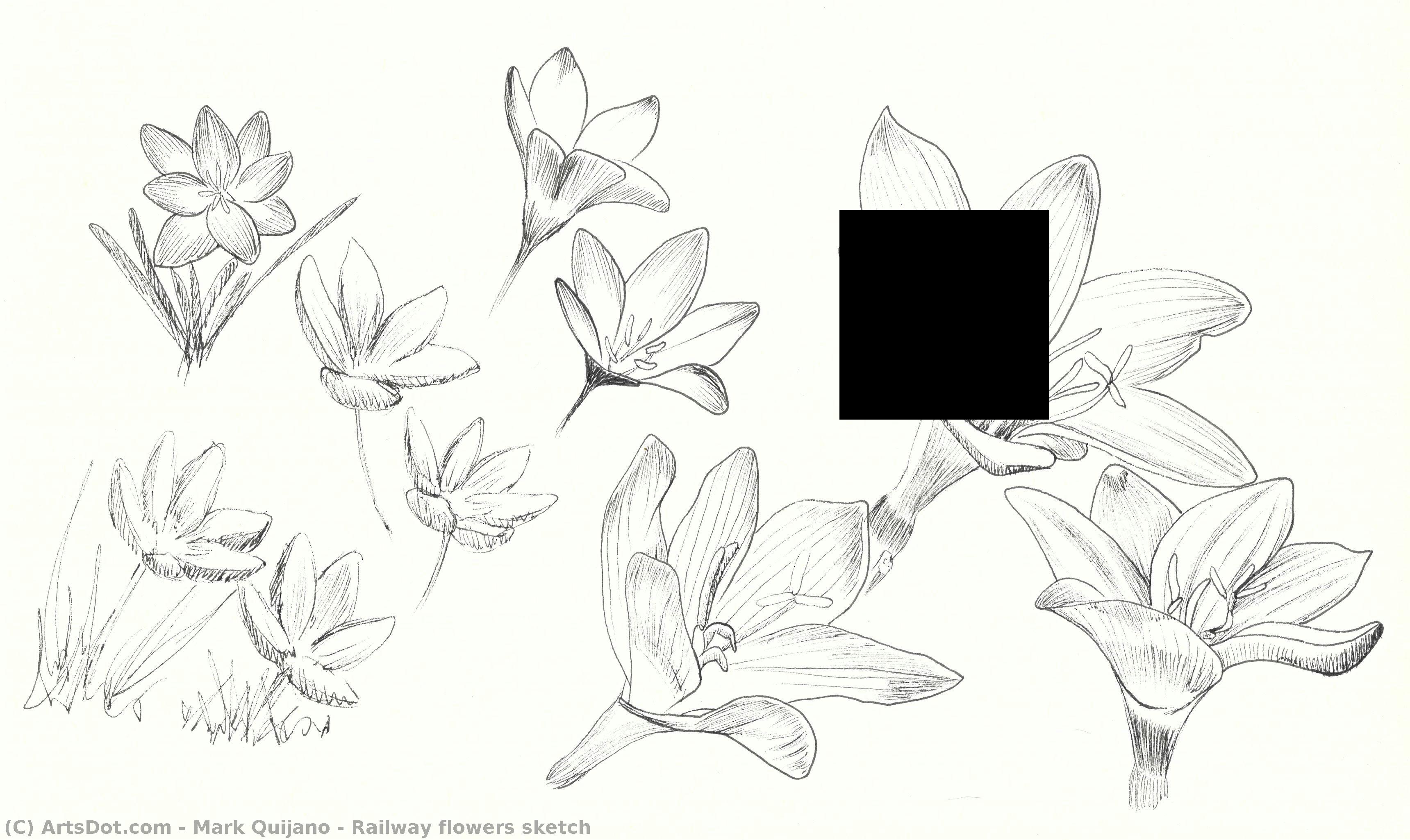 Railway Flowers Sketch — Mark Quijano