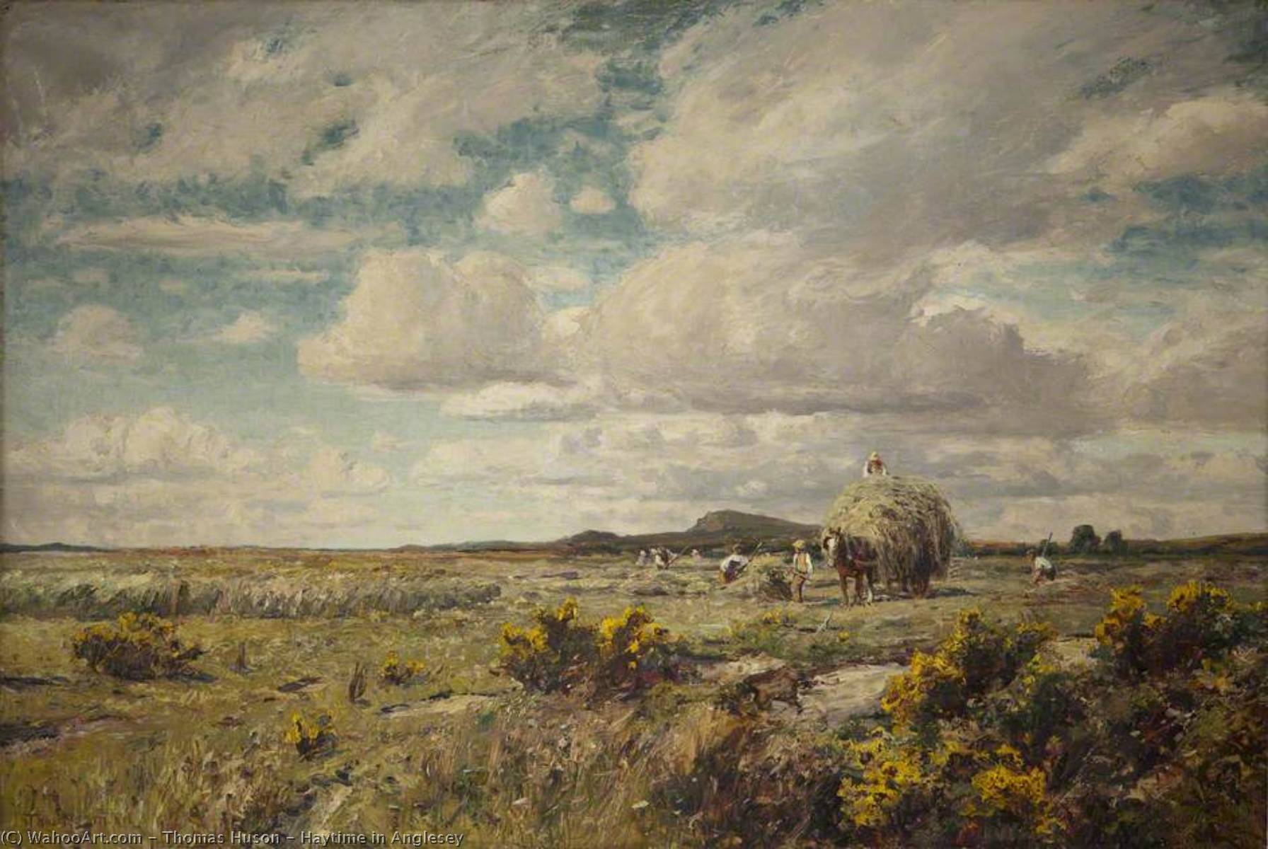Haytime In Anglesey — Thomas Huson
