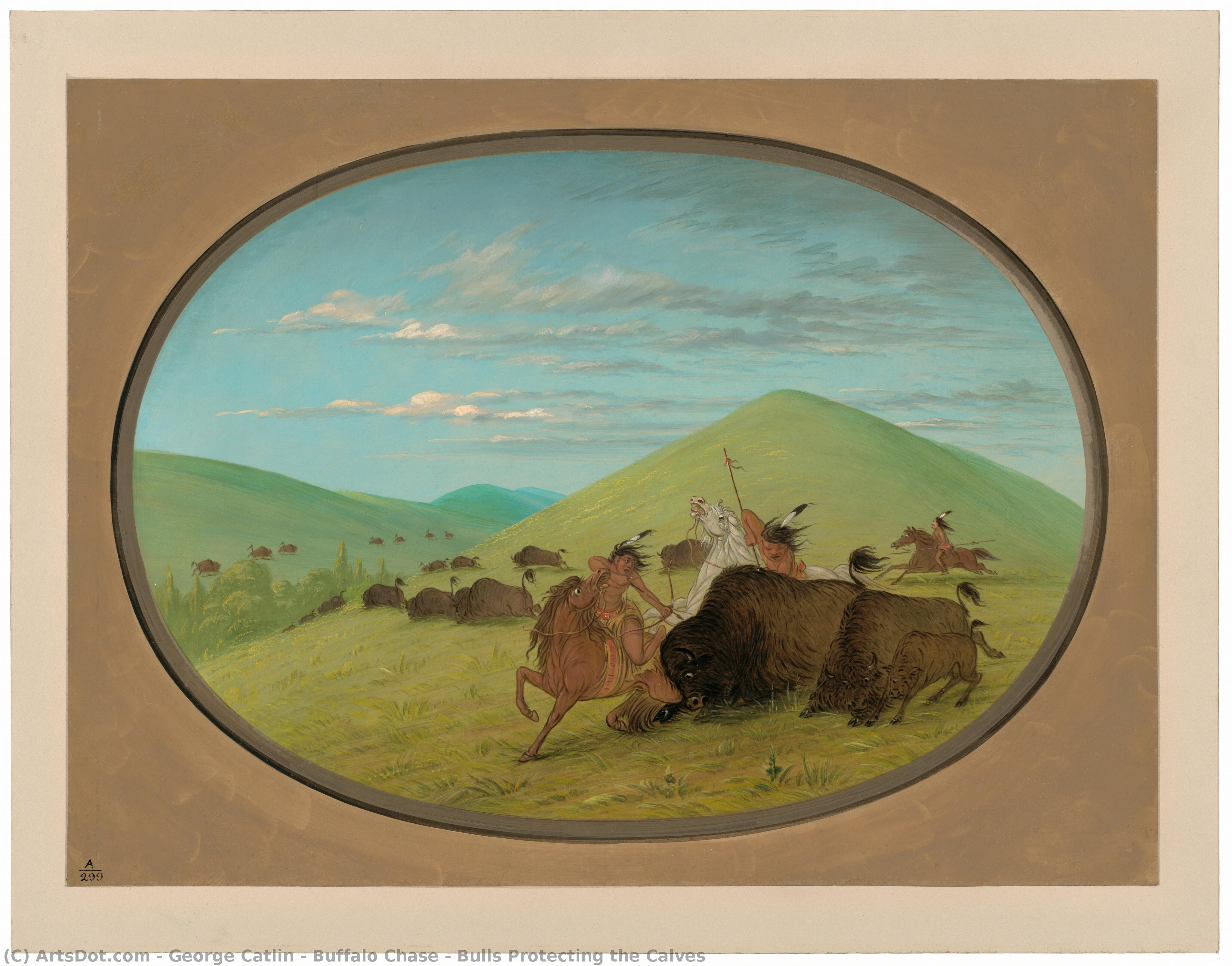 Buffalo Chase - Bulls Protecting The Calves — George Catlin