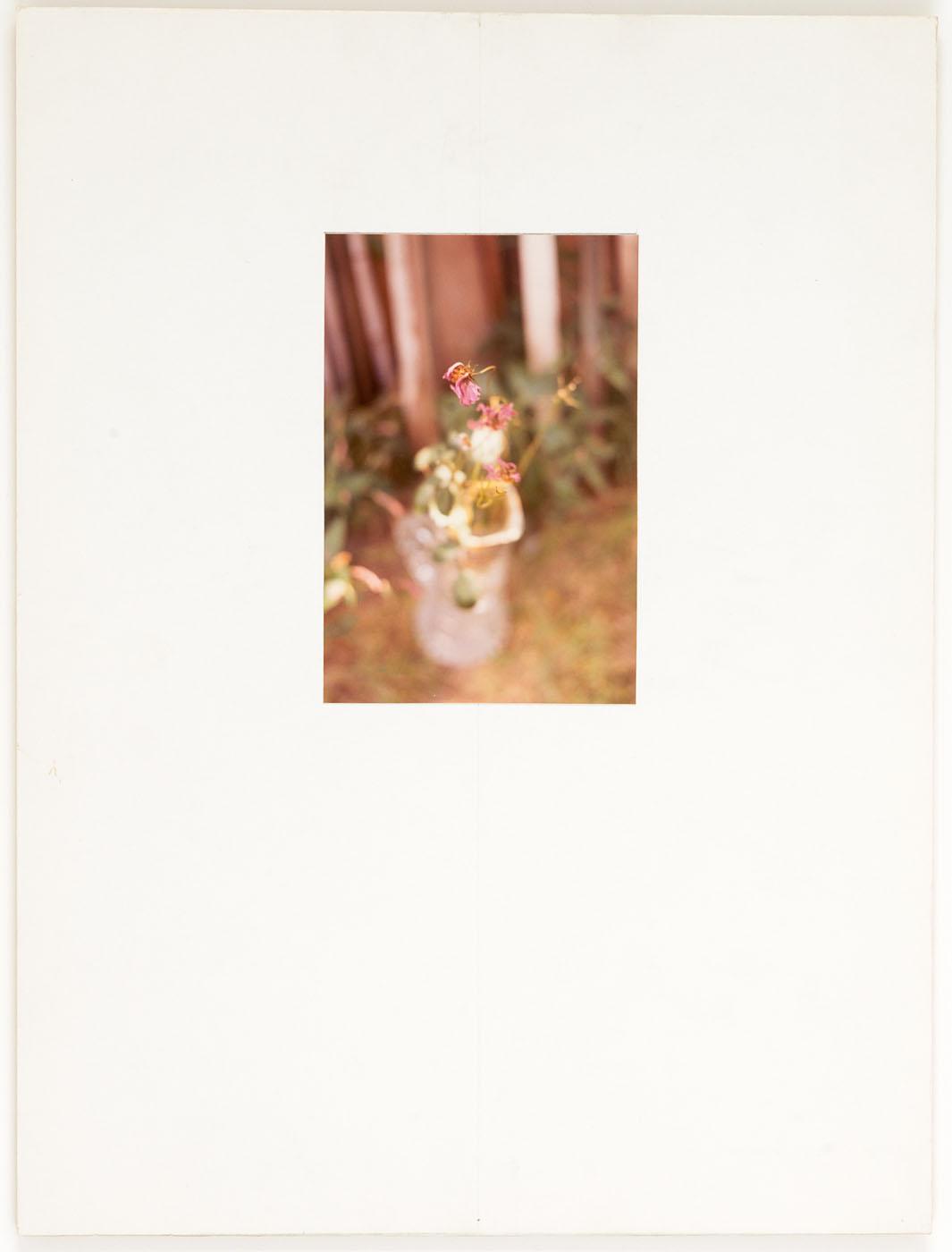 Untitled (flowers Near Wooden Fence) — Joseph Cornell