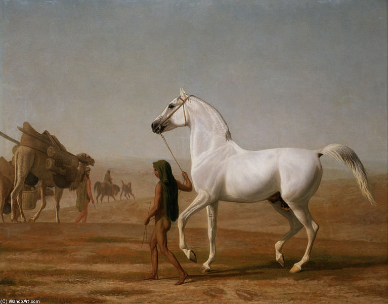The Wellesley Grey Arabian Led Through The Desert — Jacques Laurent Agasse