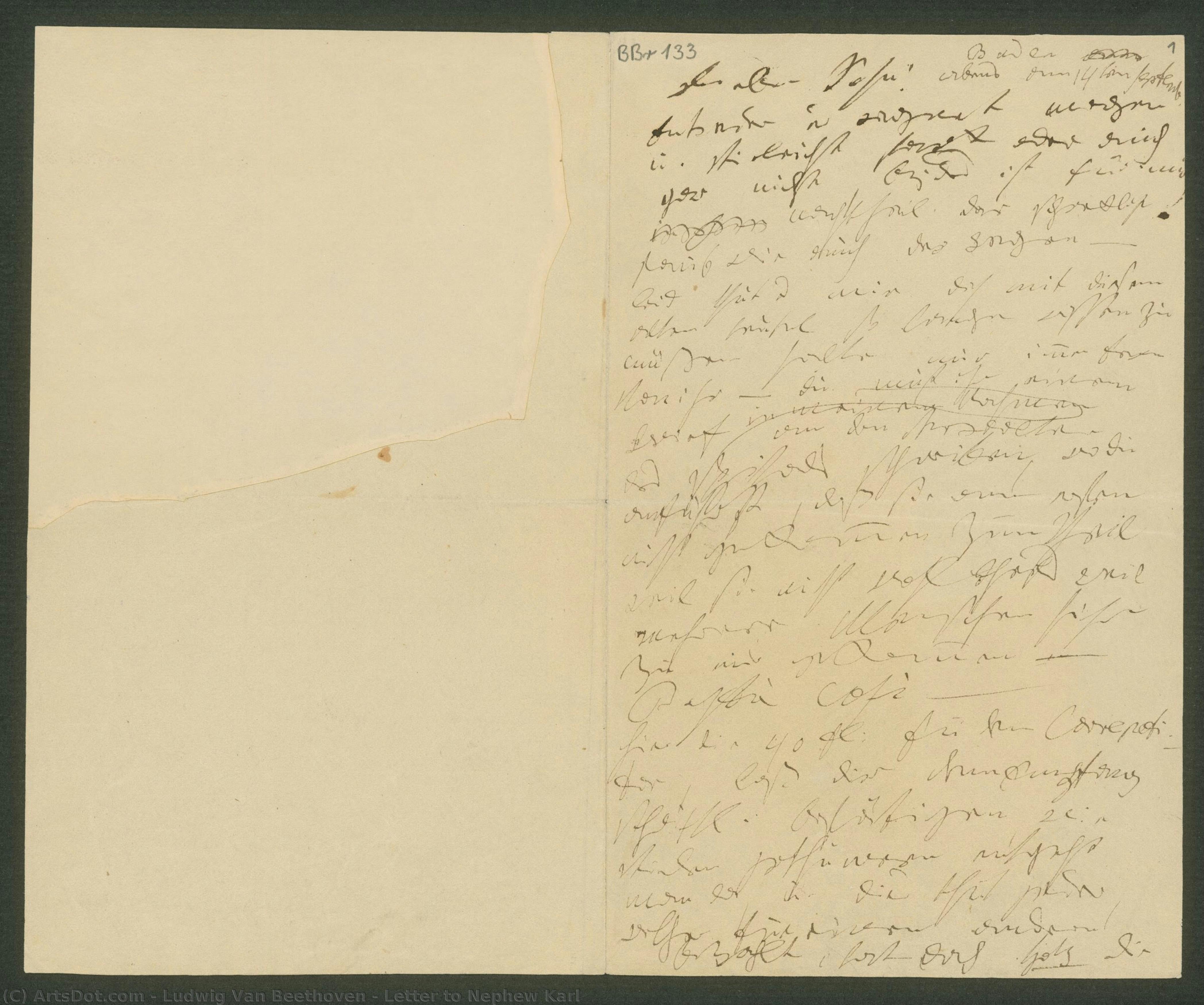 Letter To Nephew Karl — Ludvig Van Betoven