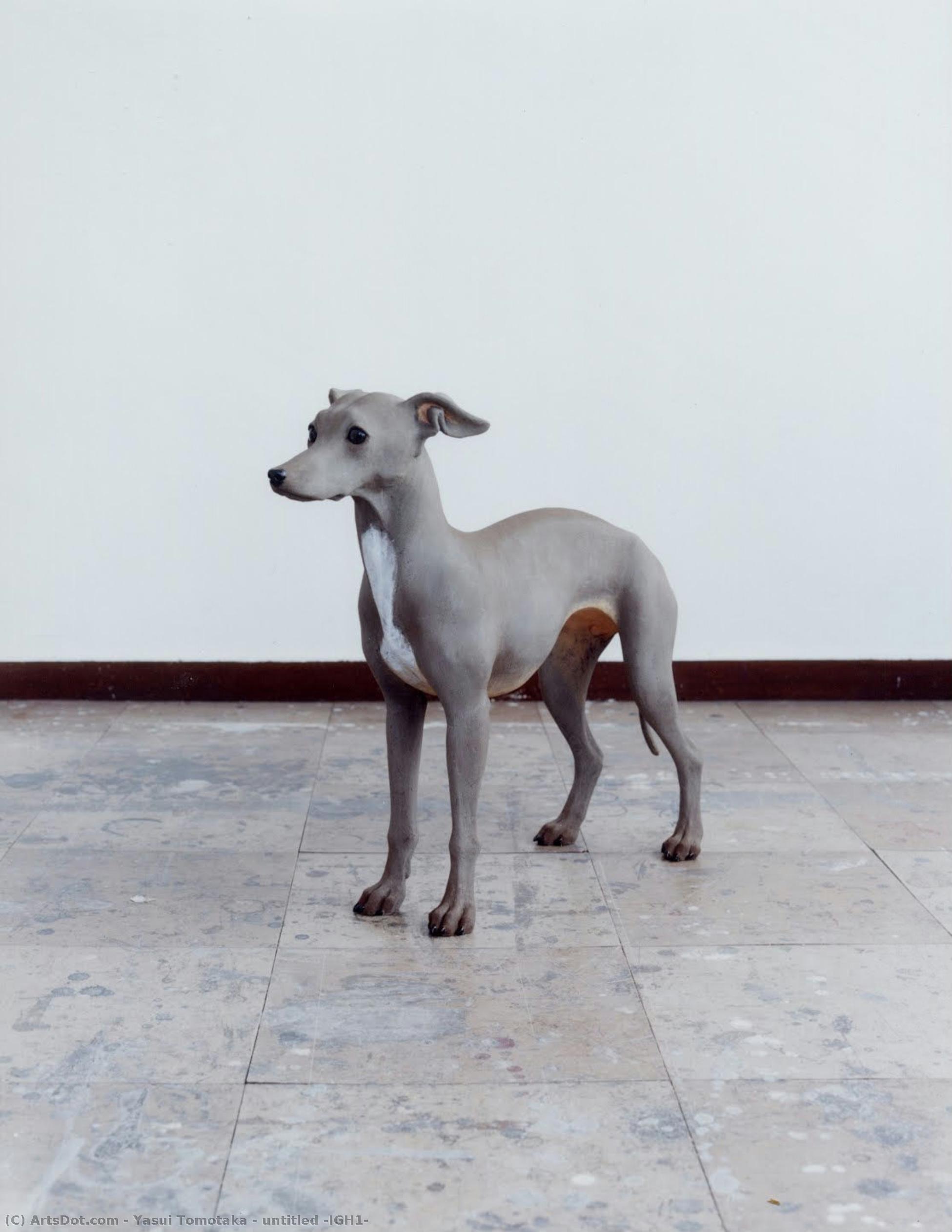 Untitled (igh1) — Yasui Tomotaka