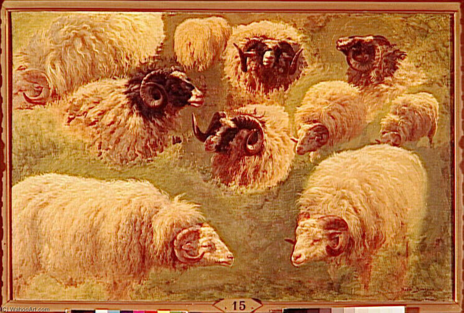 Béliers Et Moutons À Tête Noire — Bonheur Marie Rosalie