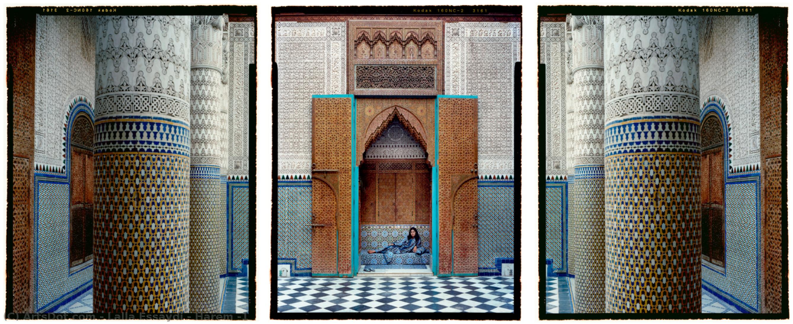 Harem #1 — Lalla Essaydi