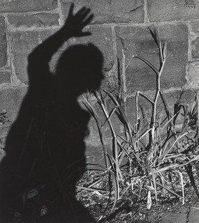 Shadow Self Portrait, Washington, D.c — Ильза Бинг