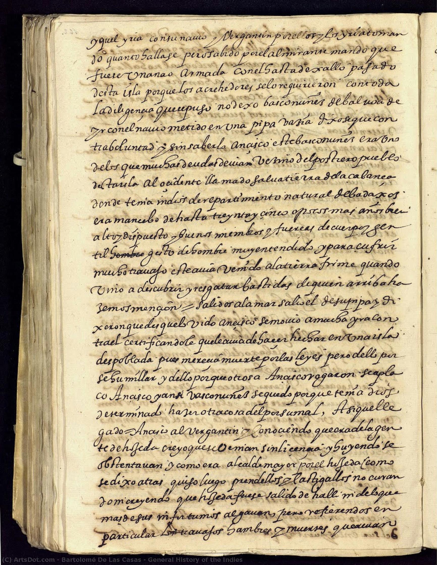 General History Of The Indies — Bartolomé De Las Casas