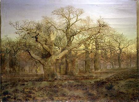 The Edge Of Sherwood Forest — Andrew Maccallum