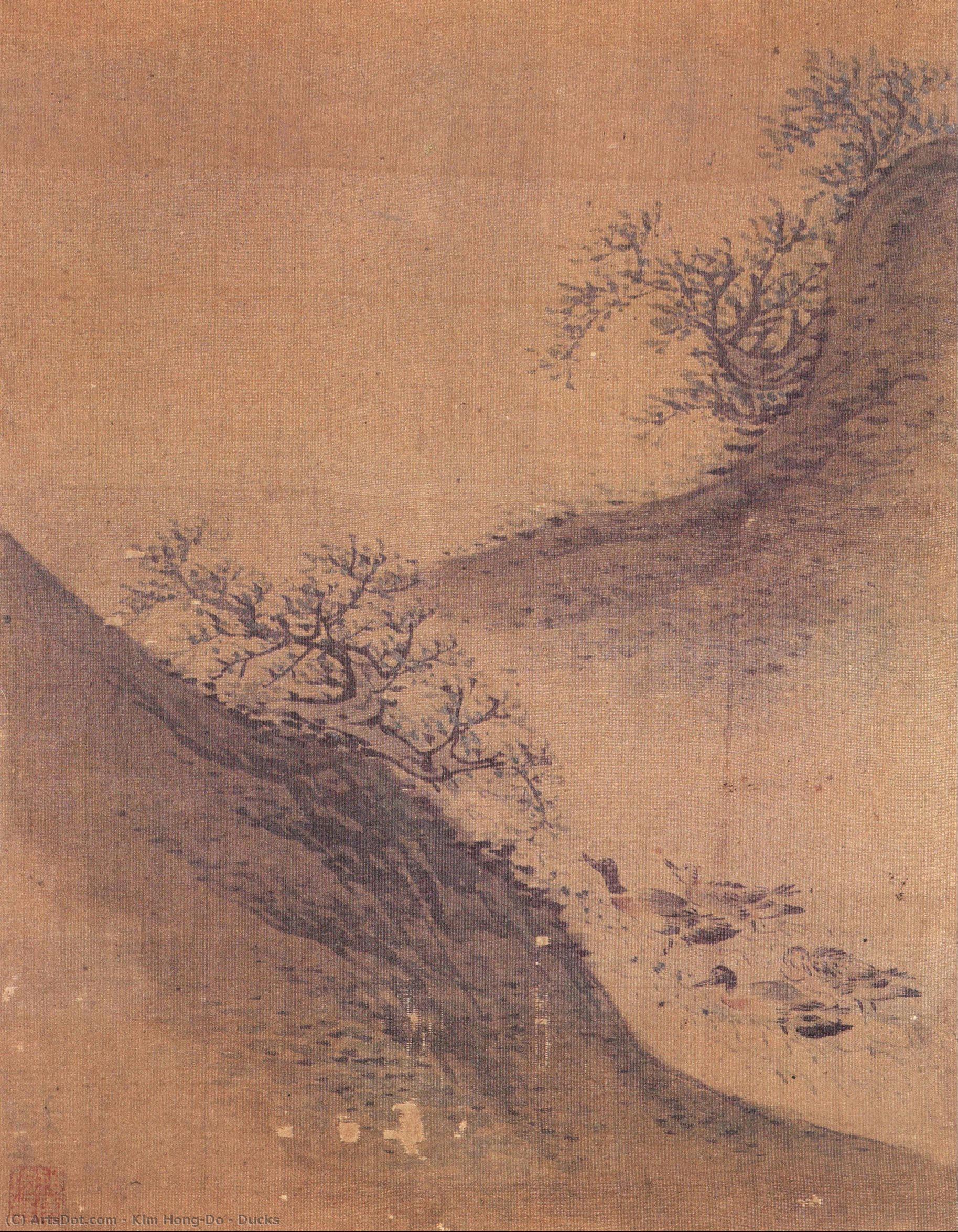 Ducks — 金弘道
