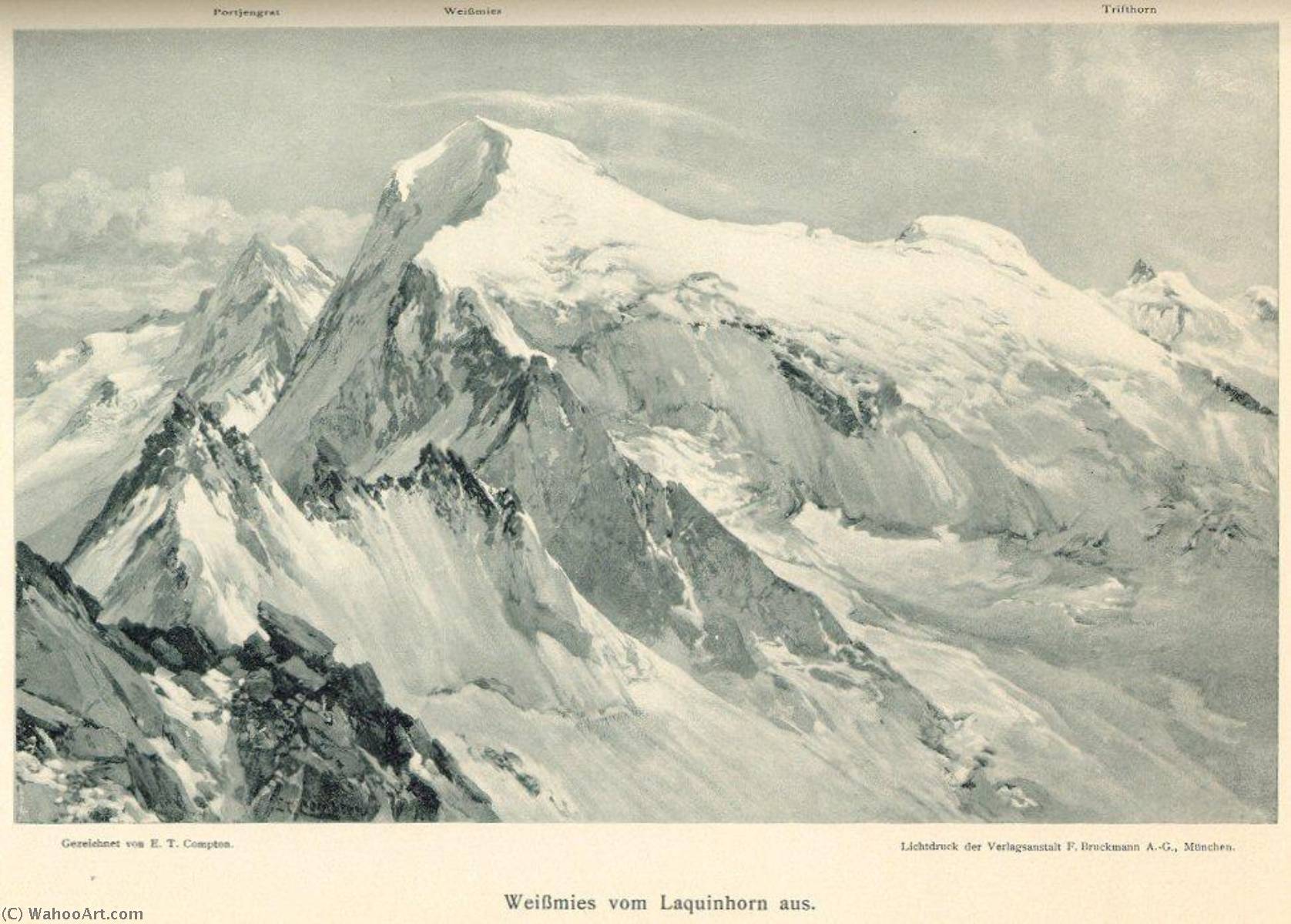 Deutsch Weißmies Vom Laquinhorn — Edward Theodore Compton