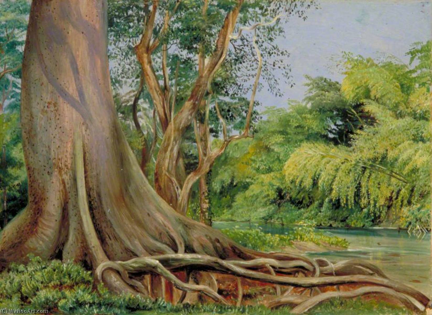 Snake Tree And Bamboos On Spanish River, Jamaica — Marianne North