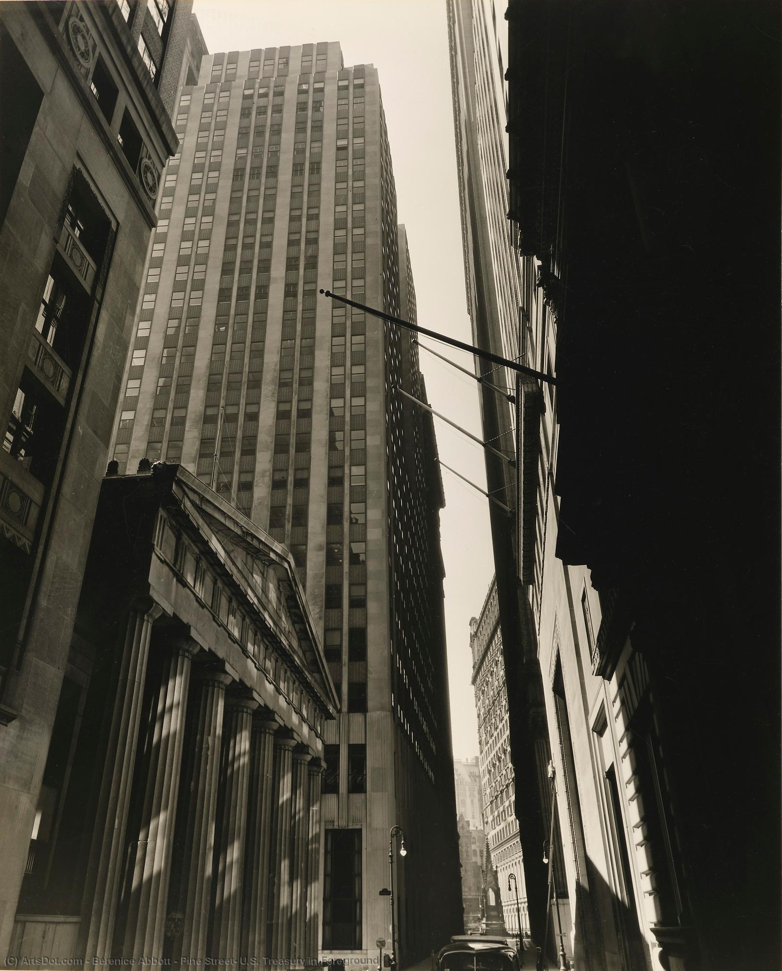 Pine Street, U.s. Treasury In Foreground — Berenis Abot
