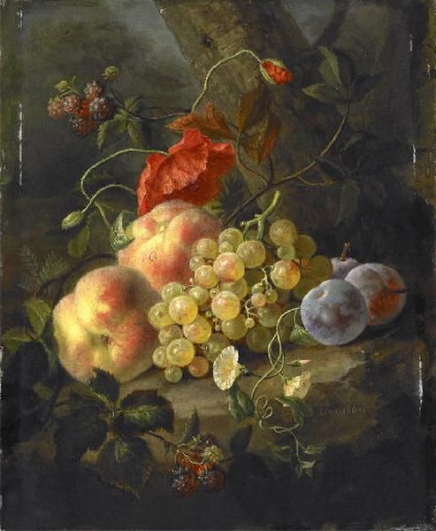 Nature Morte Aux Fruits — Moïse Jacobber