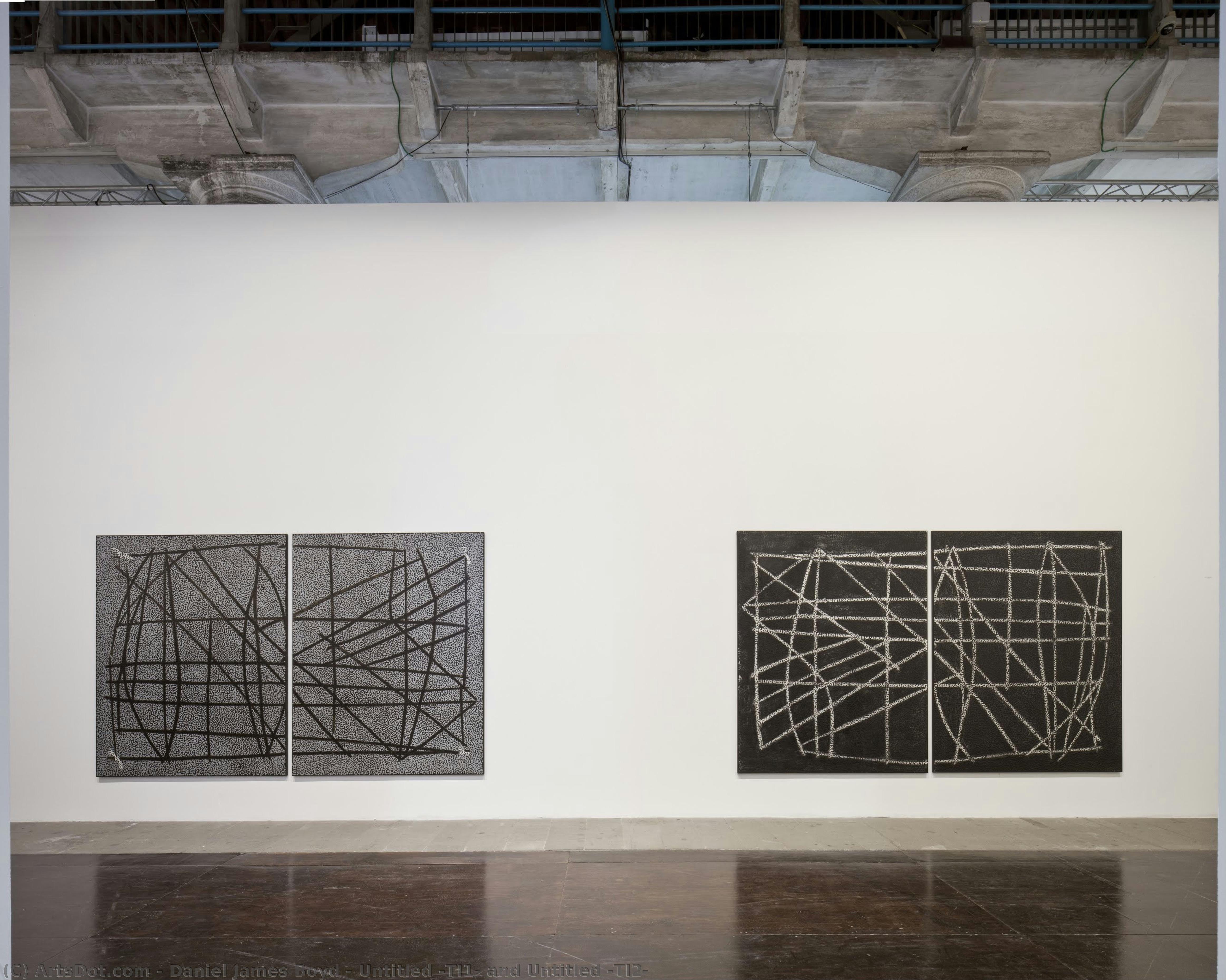 Untitled (ti1) And Untitled (ti2) — Daniel James Boyd
