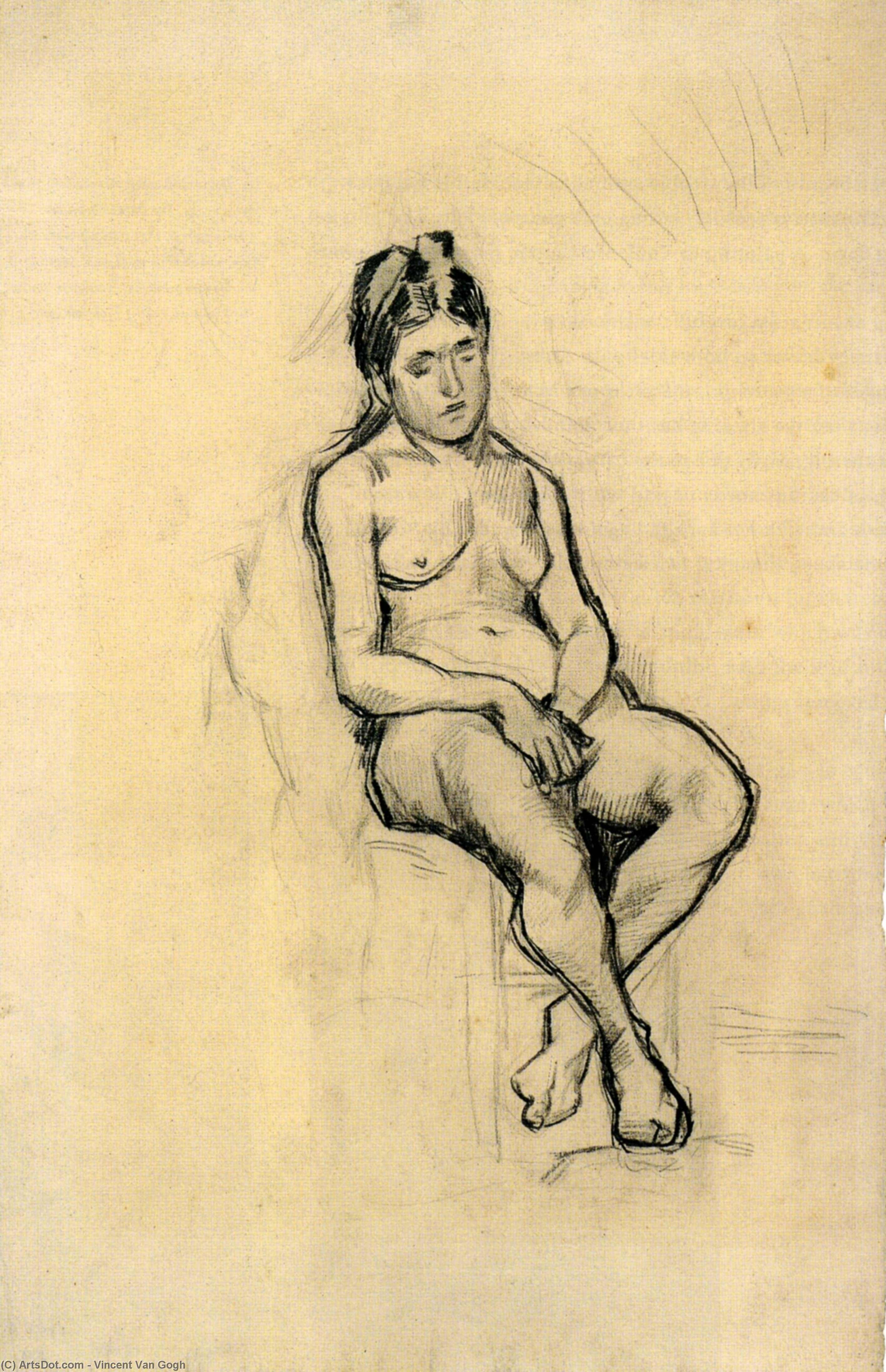 Seated Female Nude — Vincent Willem Van Gogh