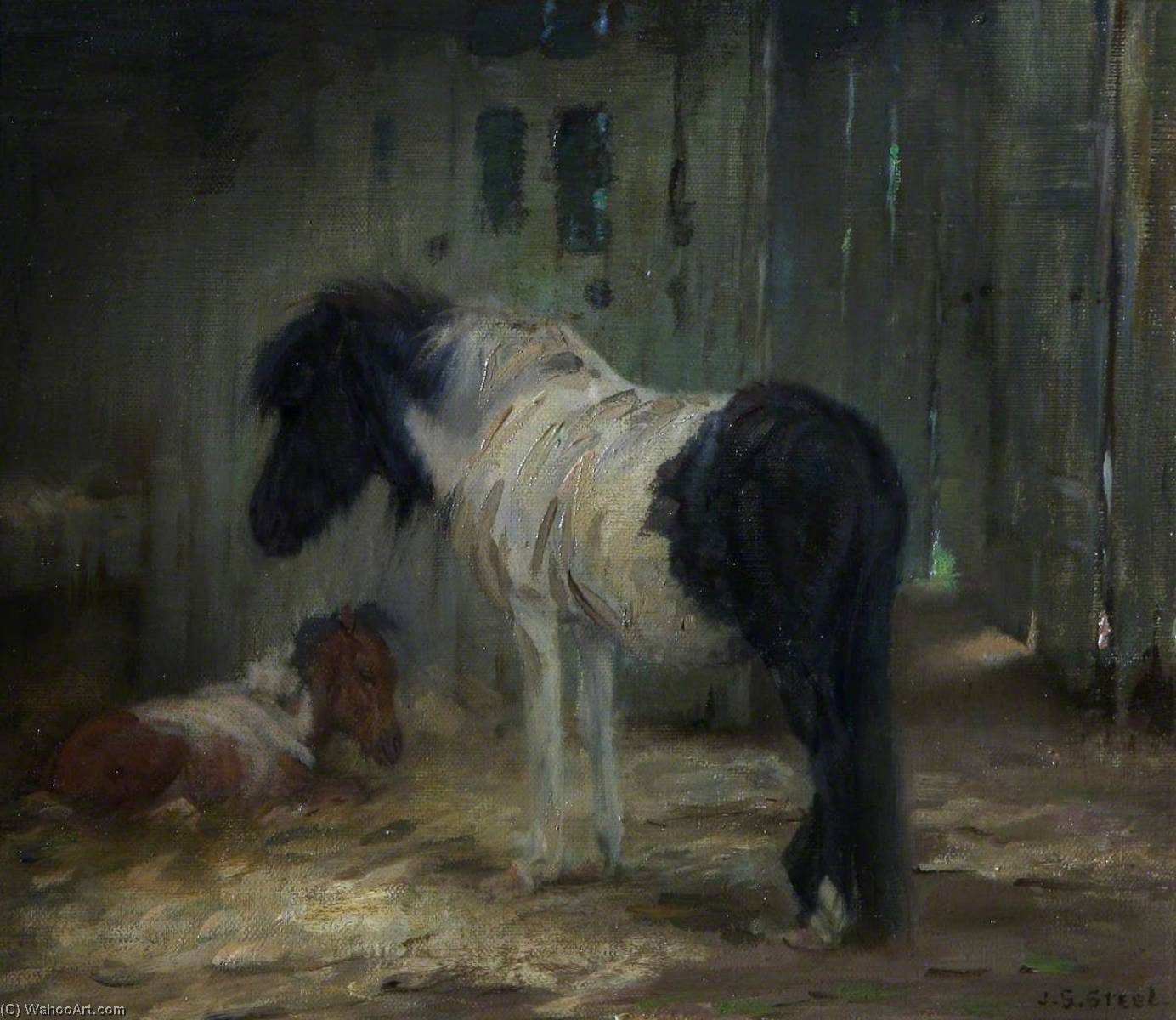 Shetland Mare And Foal — John Sydney Steel