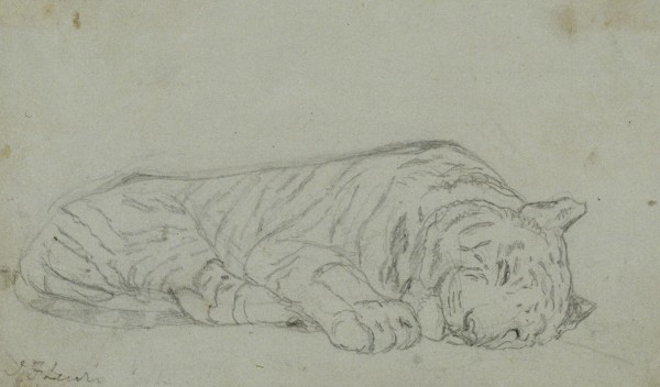 A Sleeping Tiger 2 — John Frederick Lewis