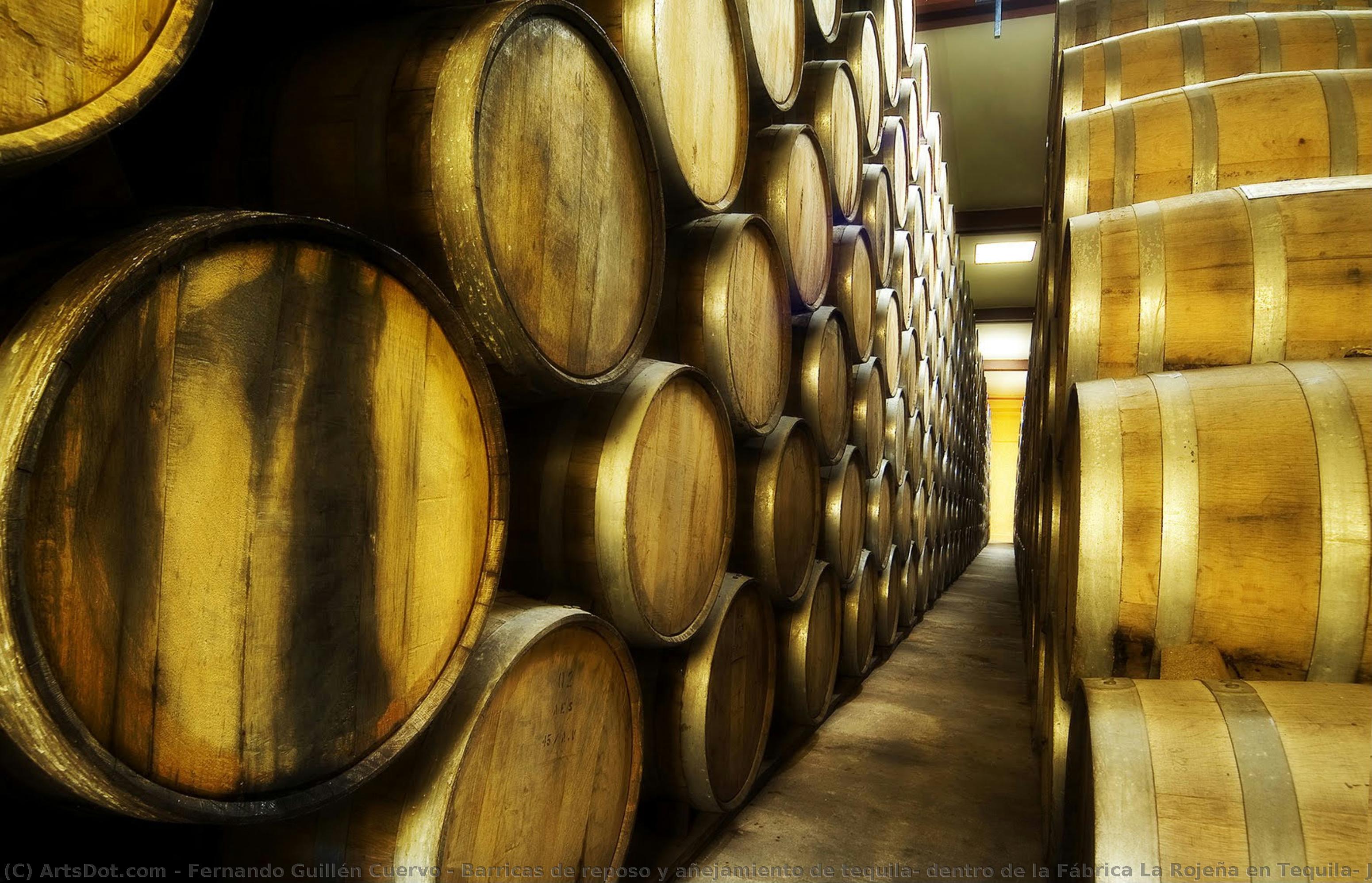 Barricas De Reposo Y Añejamiento De Tequila, Dentro De La Fábrica La Rojeña En Tequila, Jalisco — Fernando Guillén Cuervo