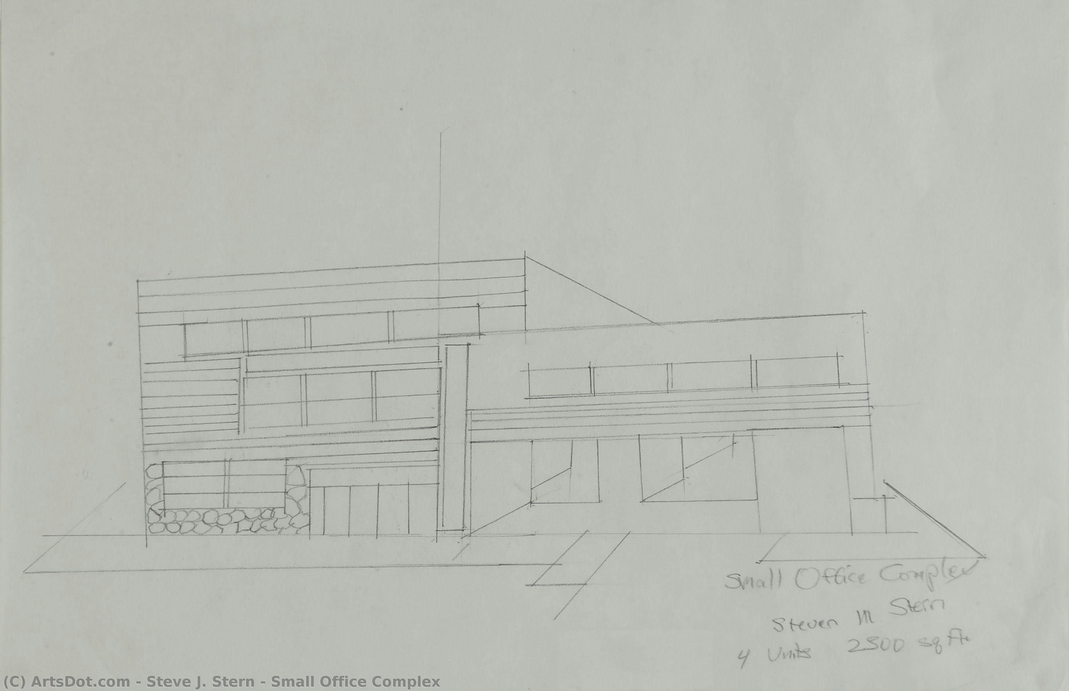 Small Office Complex — Steve J. Stern