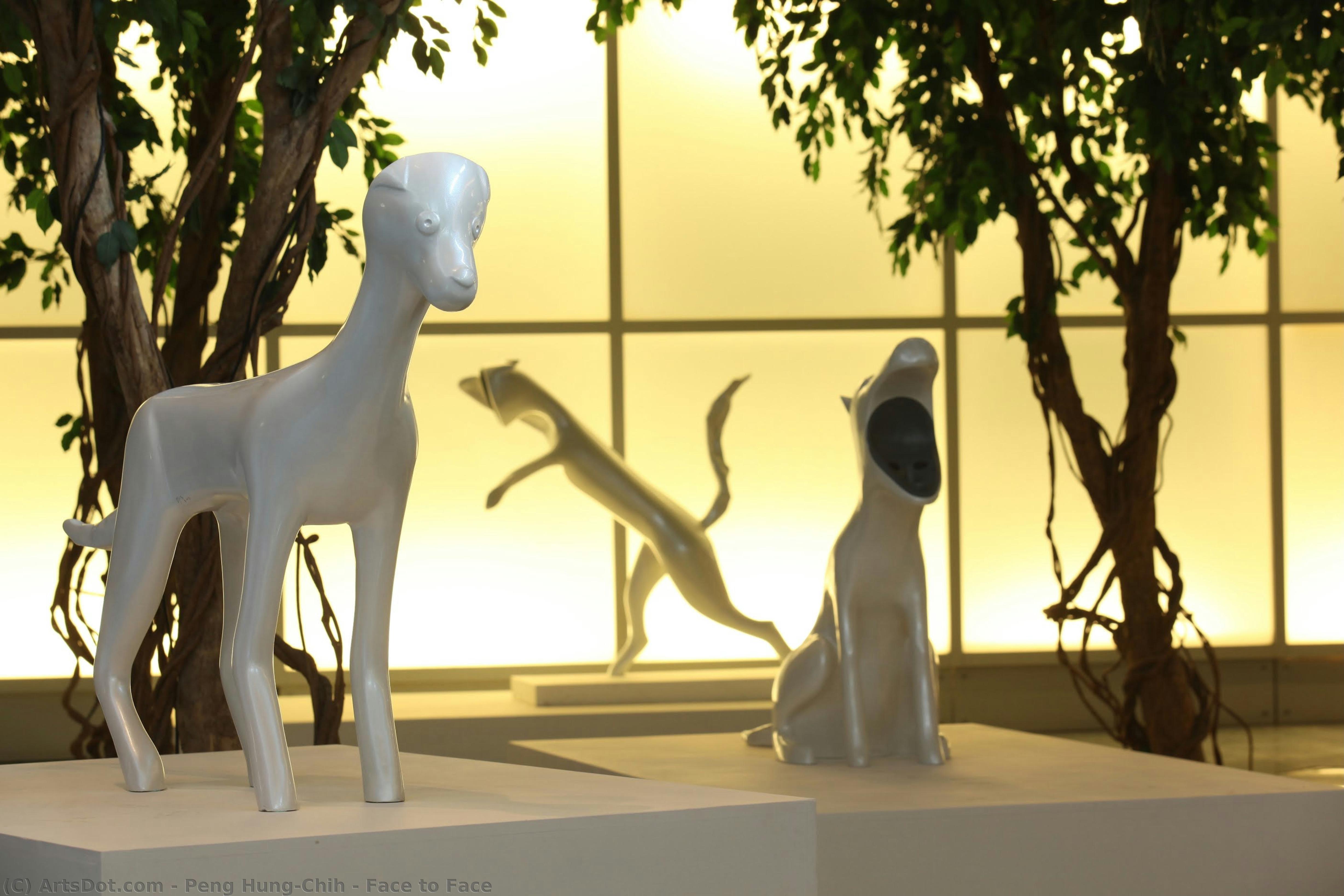 Face To Face — Peng Hung-chih