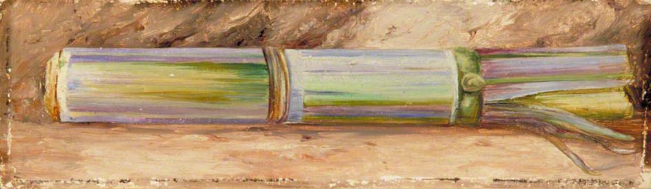 A Piece Of Sugar Cane — Marijana Nort