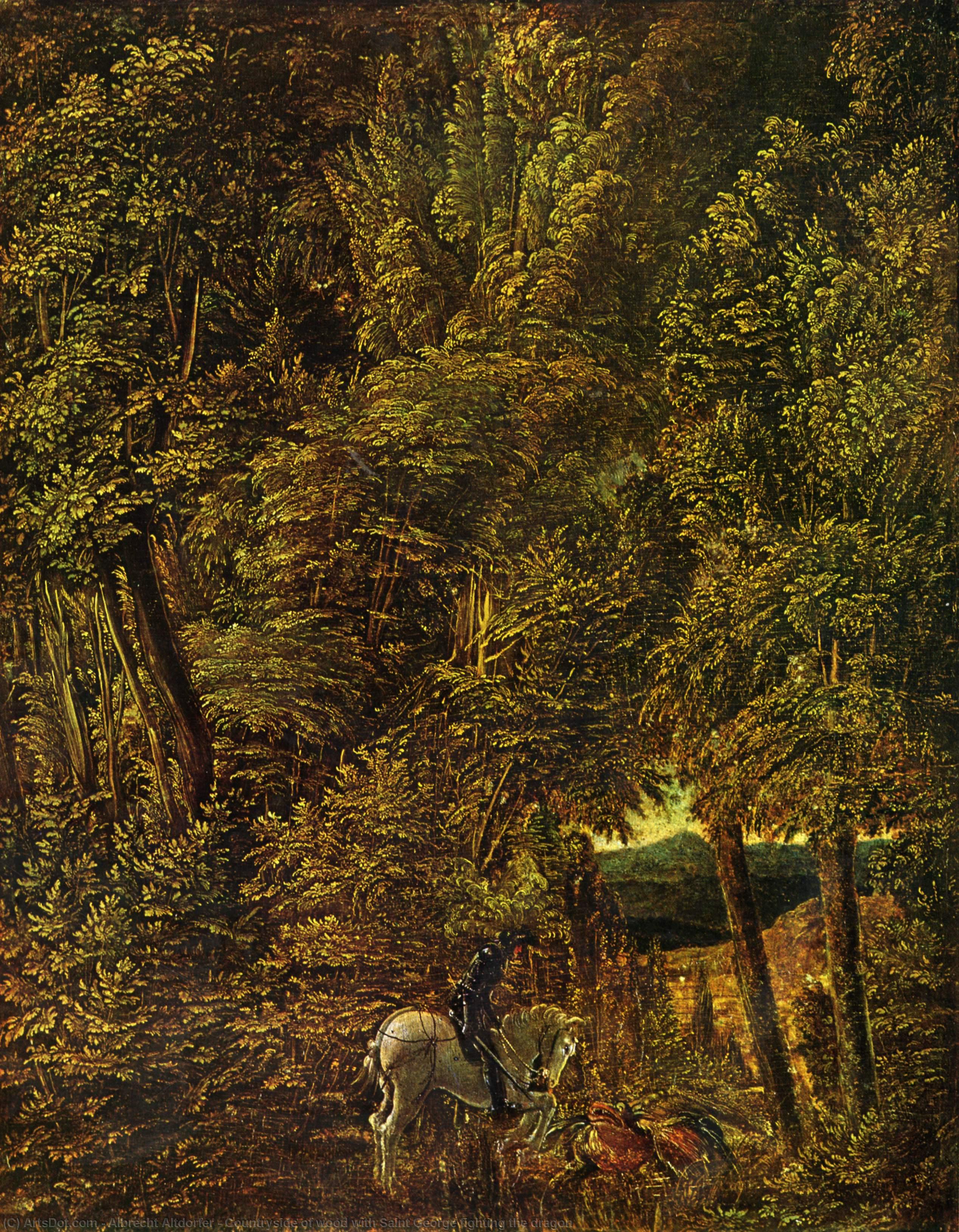 Countryside Of Wood With Saint George Fighting The Dragon — Albrecht Altldorfer