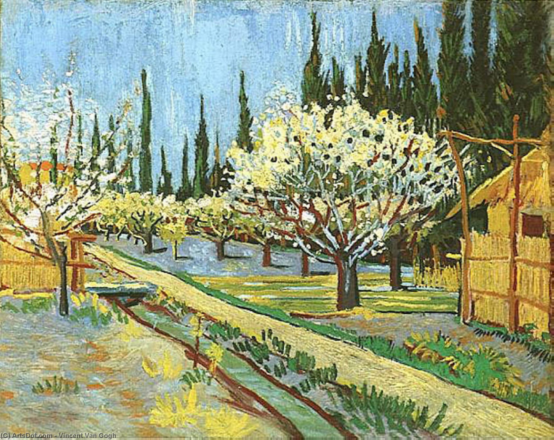 Obstgarten In Blüte Mit Zypressen — Vincent Willem Van Gogh