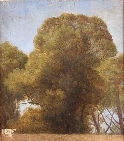 Study Of Trees — Jean-auguste-dominique Ingres