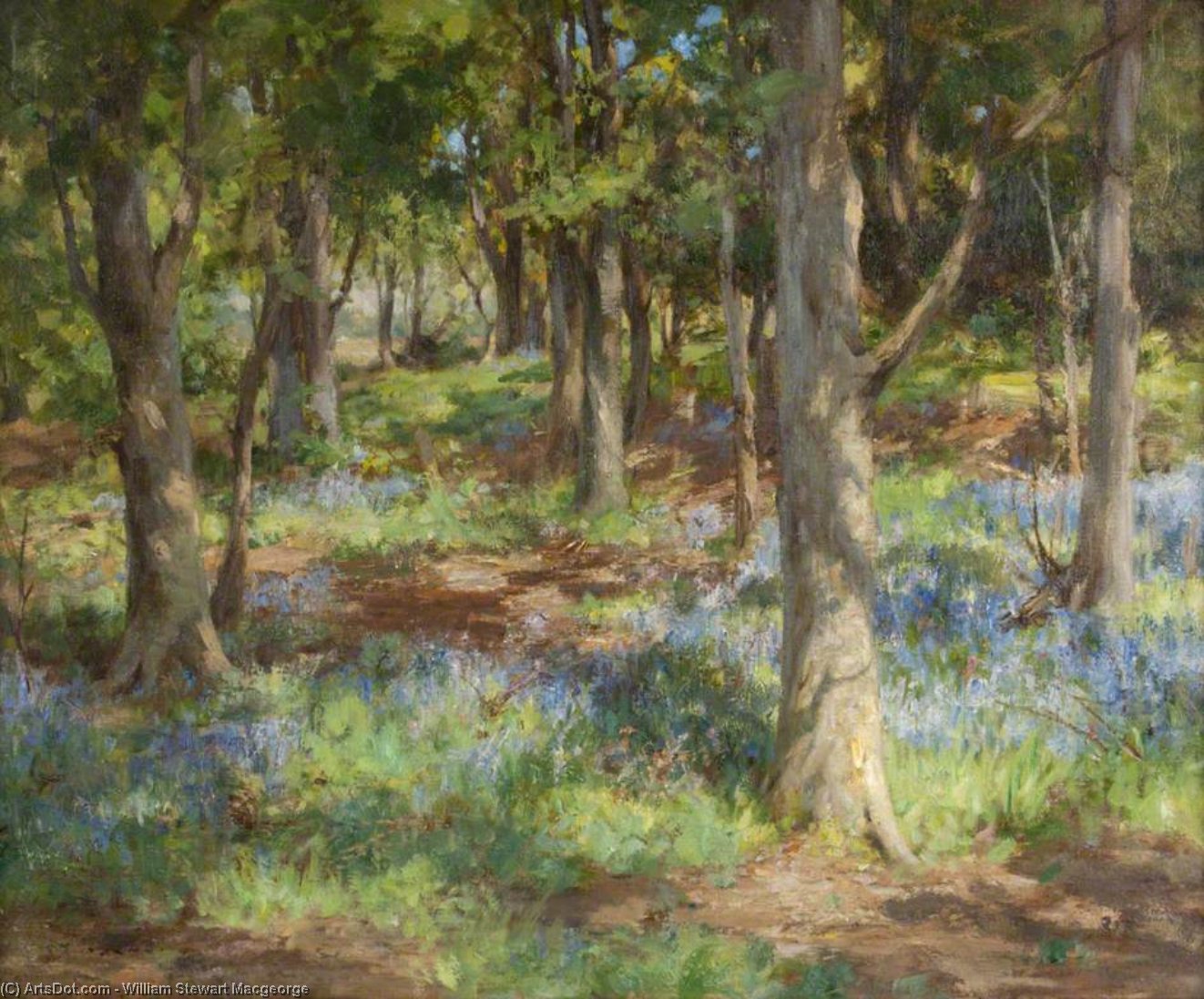 Bluebells, Torrs Wood, Kirkcudbright — William Stewart Macgeorge