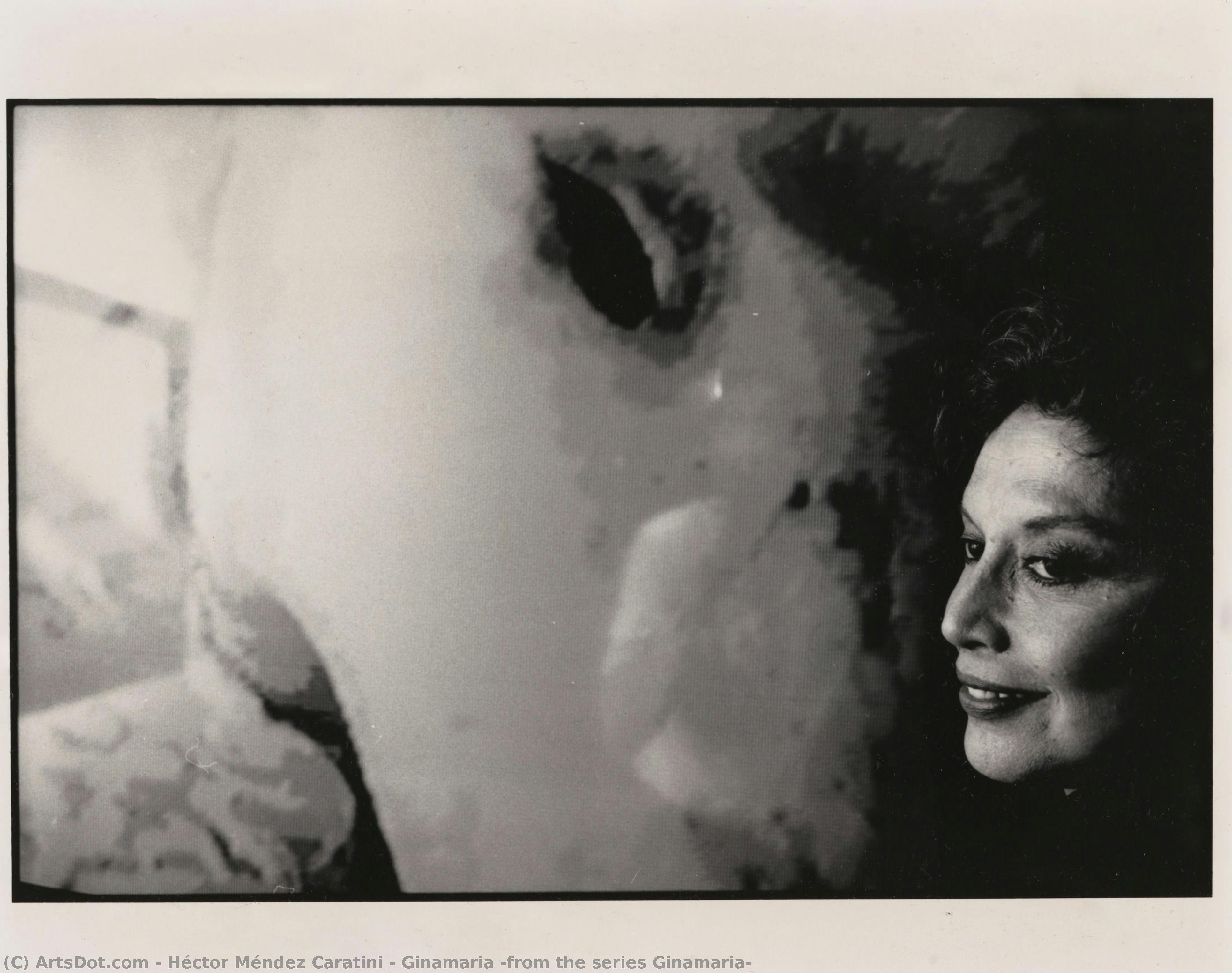 Ginamaria (from The Series Ginamaria) — Héctor Méndez Caratini