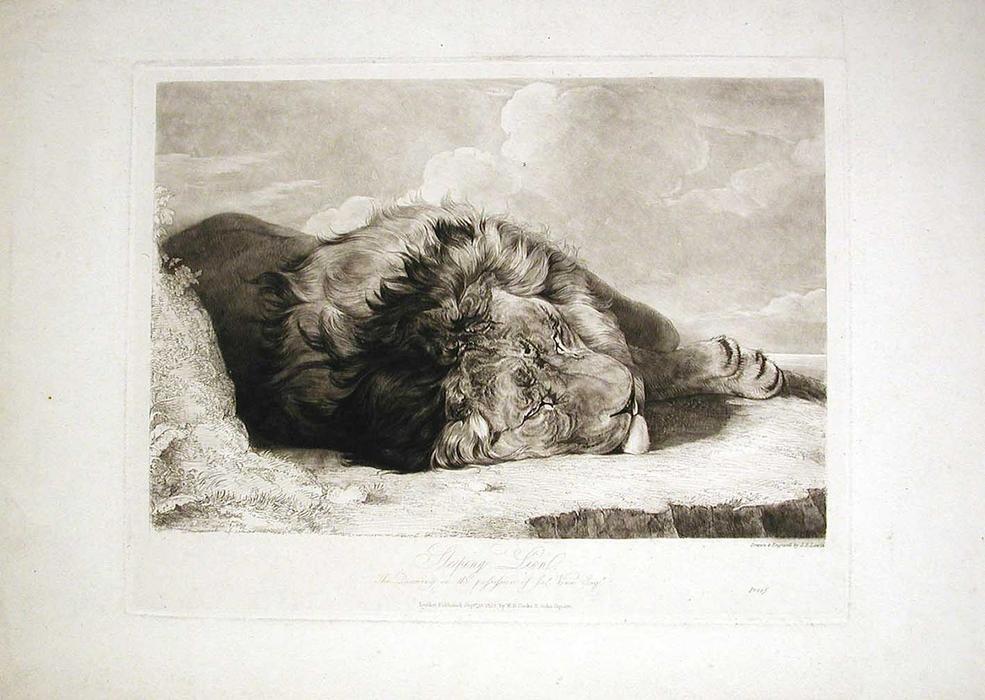 Sleeping Lion — John Frederick Lewis