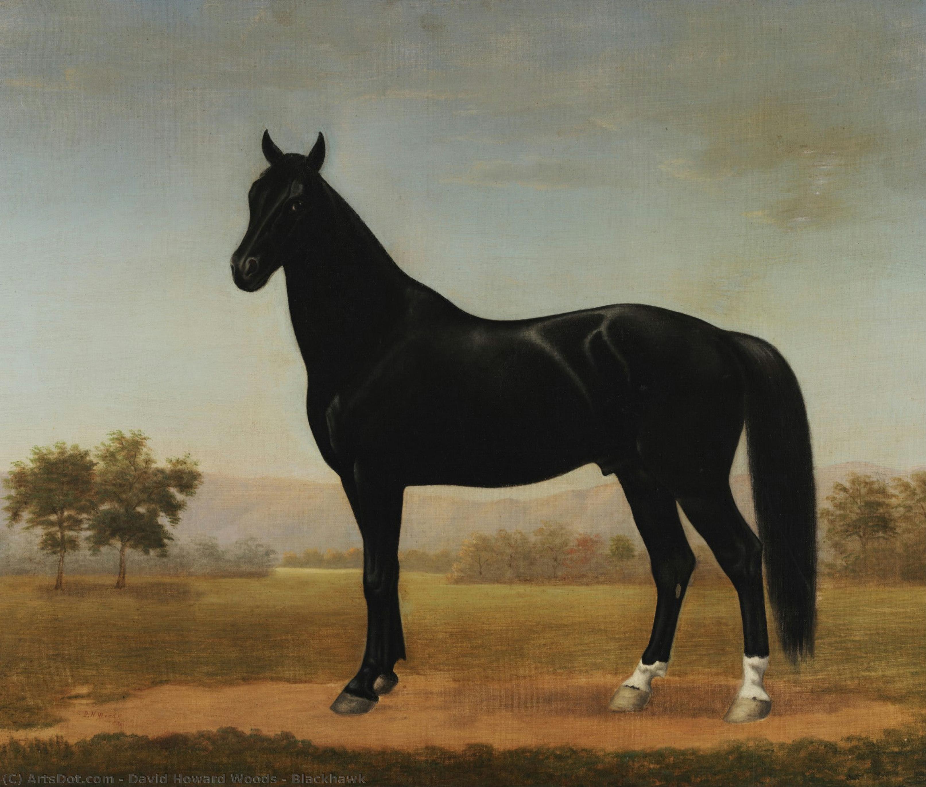 Blackhawk — David Howard Woods