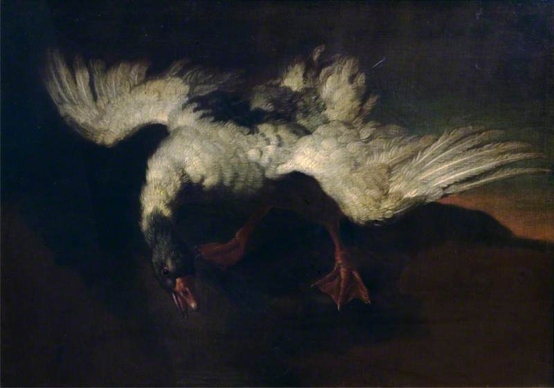Goose With Outspread Wings — ジョージ・スタッブス