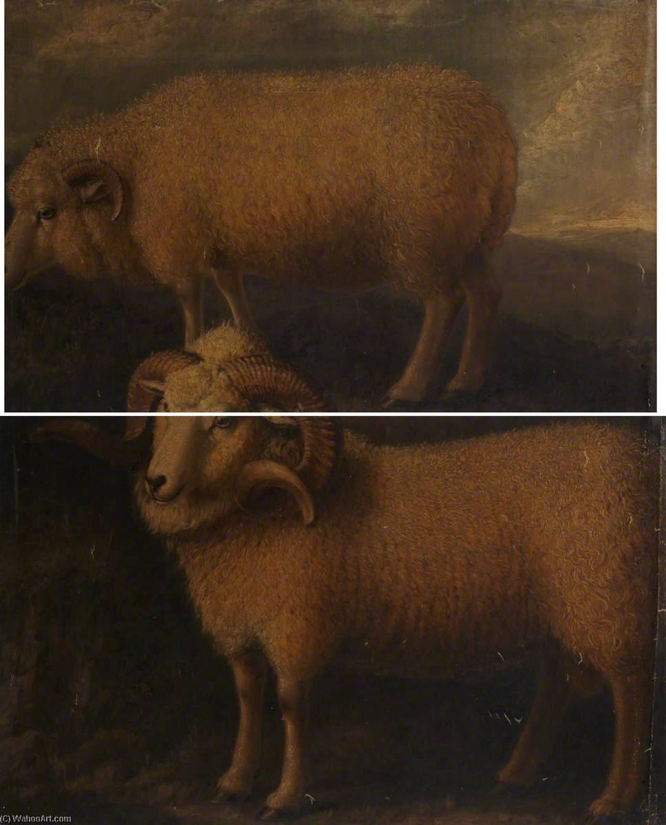 Exmoor Ram And Ewe (diptych) — Vilijam Šils
