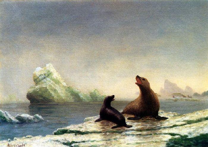 Seals — Albert Bierstadt